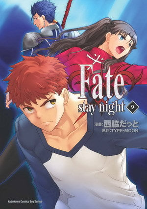 Fate/stay night (9)